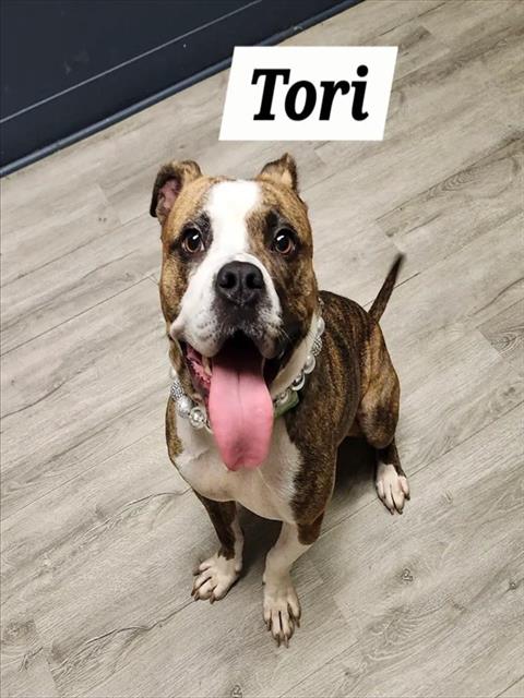 Tori