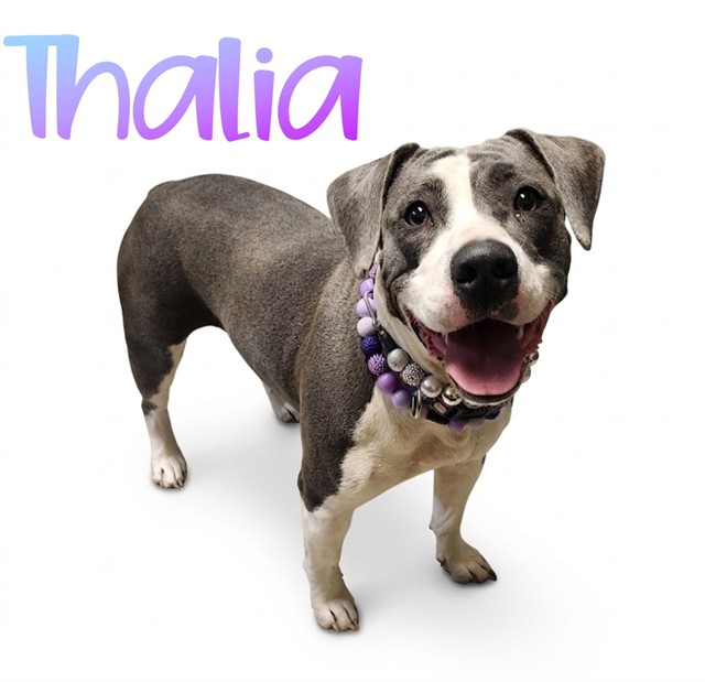 Thalia