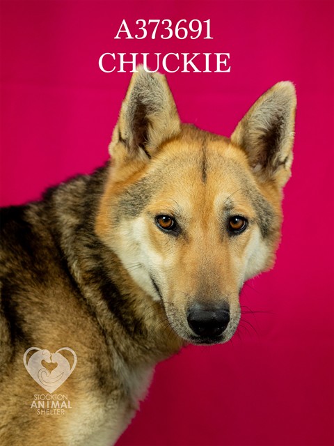 Chuckie