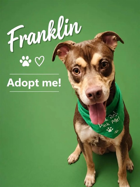 Franklin