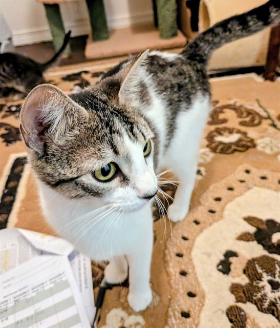 Luna
