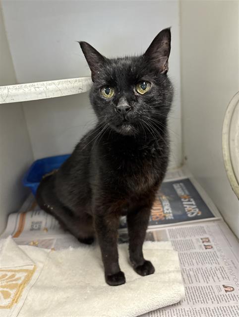 Salem