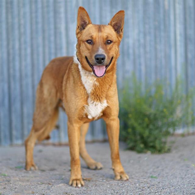 Coco