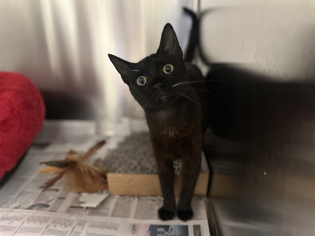Luna