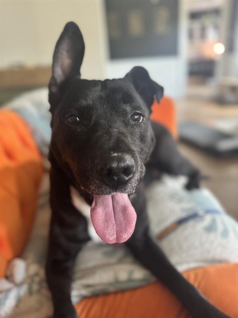 Sam