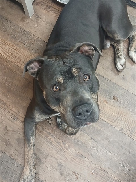 Zion
