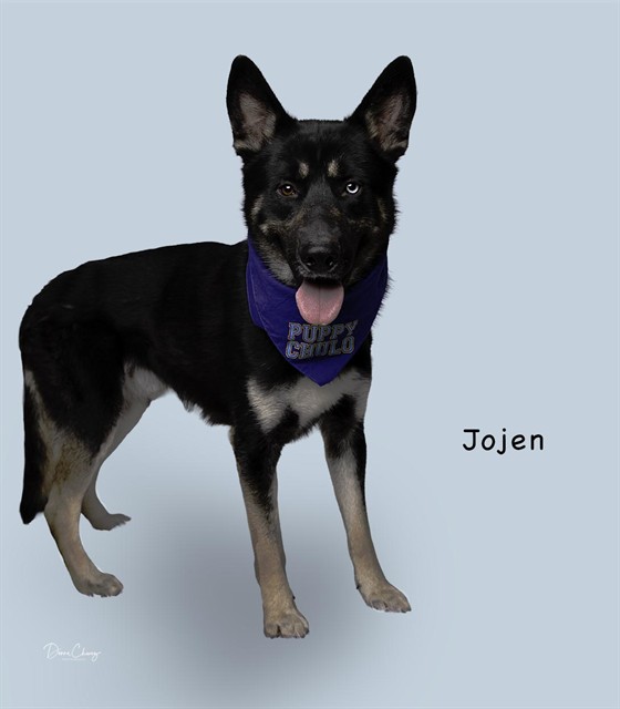 Jojen