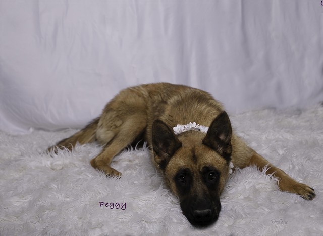 Peggy