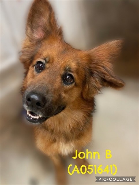 John B