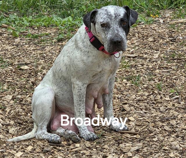 Broadway