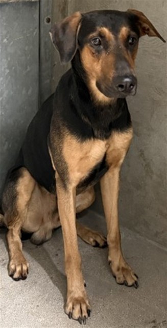 Sebastian