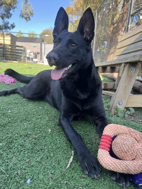 *Kona