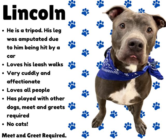 Lincoln
