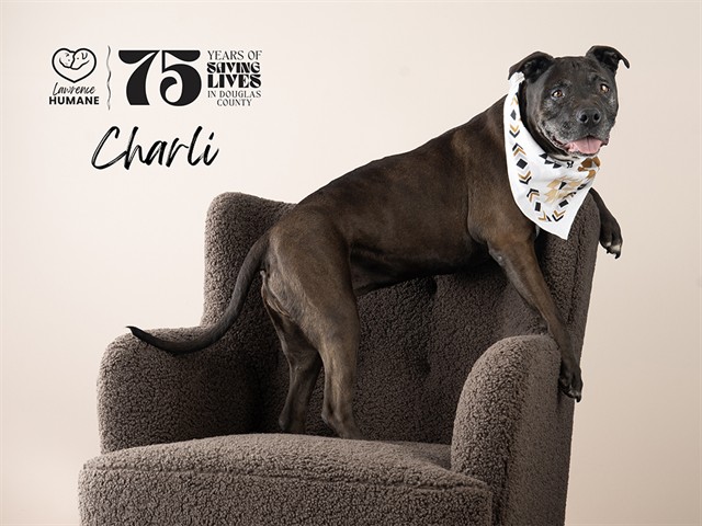 Charli