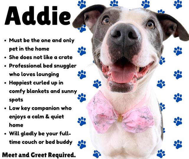Addie
