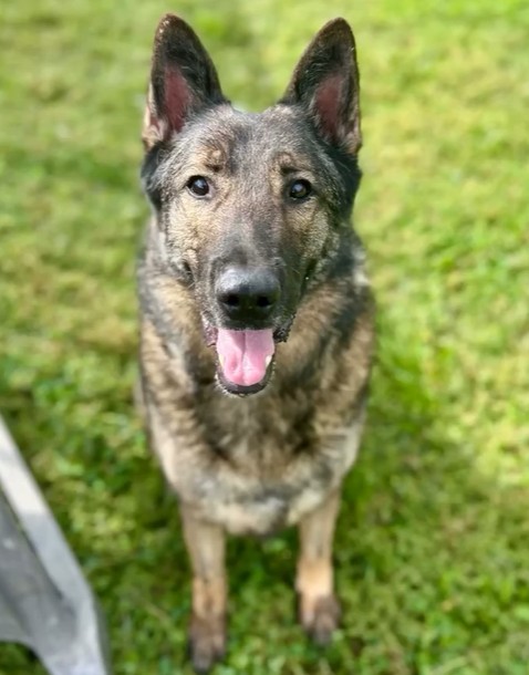 Ripley