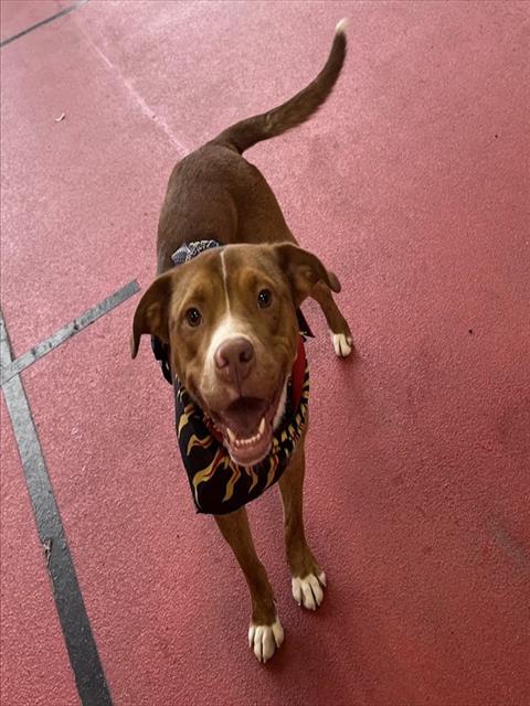 Rosco
