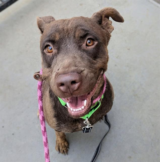 Coco