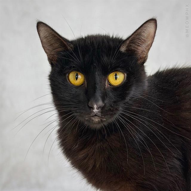 Binah