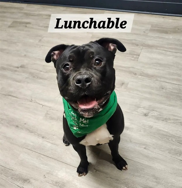 Lunchable