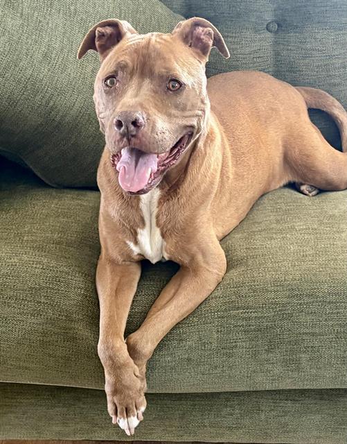 Rosie