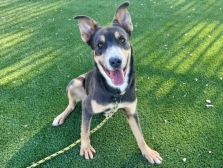 Max