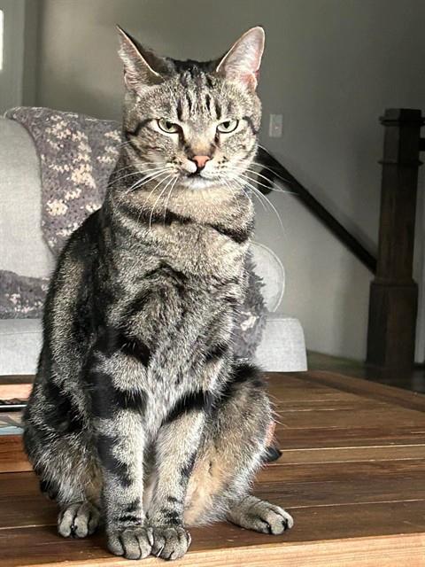 Milo