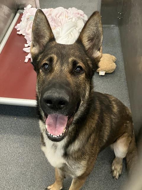 Max