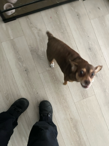Coco