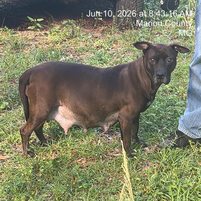 Big Mama
