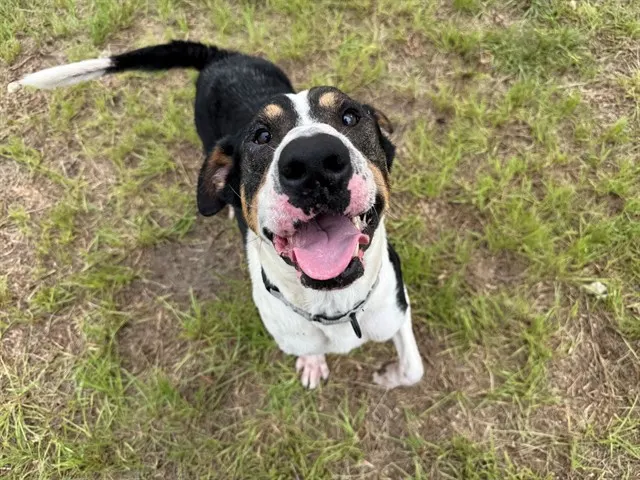 Max