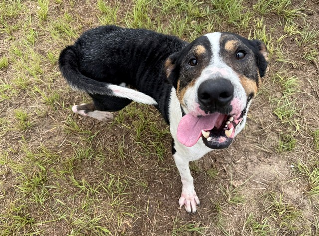 Max