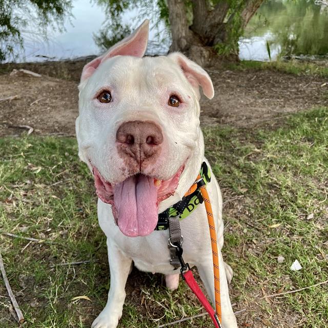 Max