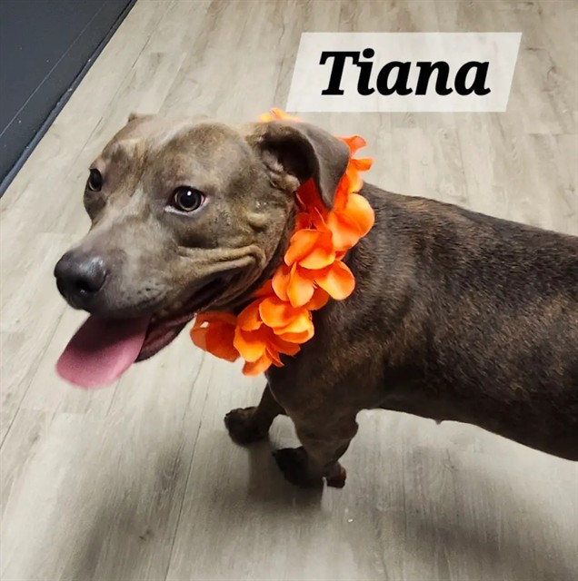 Tiana