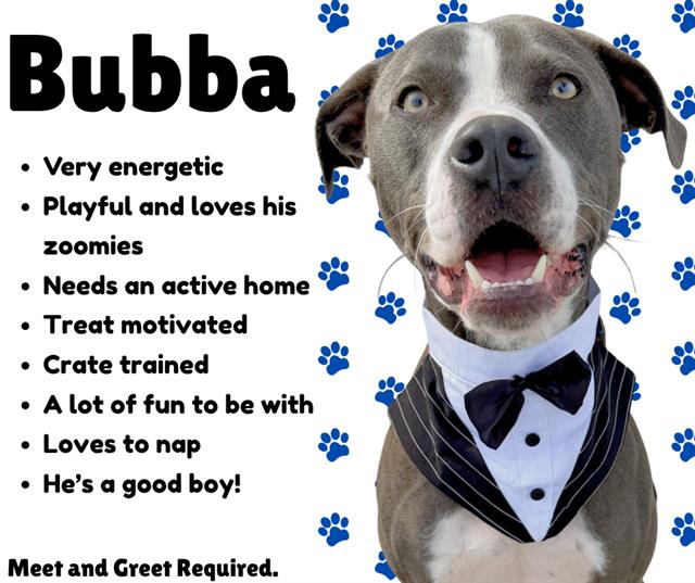 Bubba