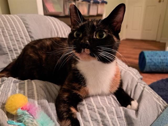 Reese