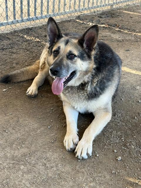 Max
