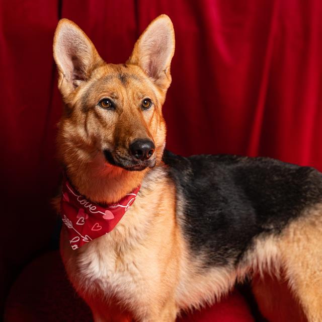 Skye