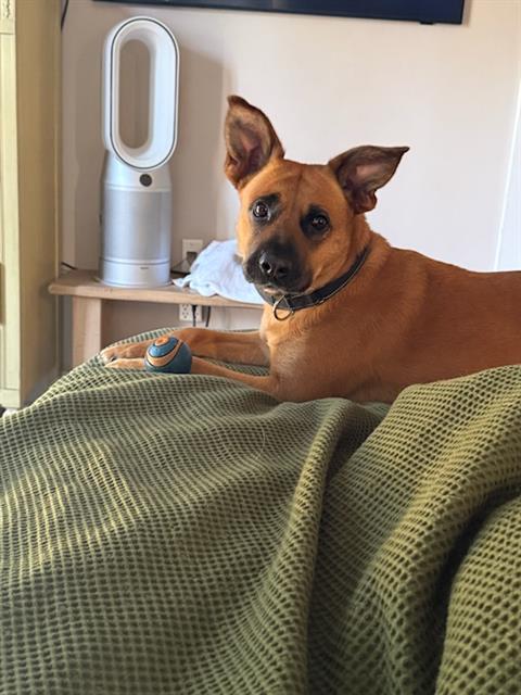 Coco*