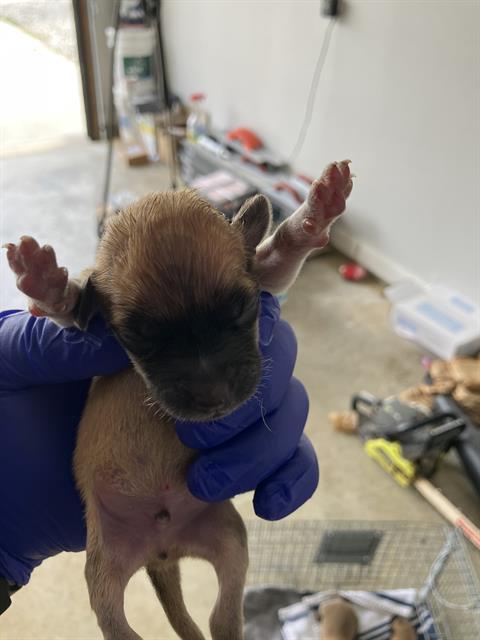 Tiny
