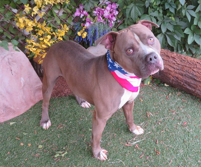 Elwood