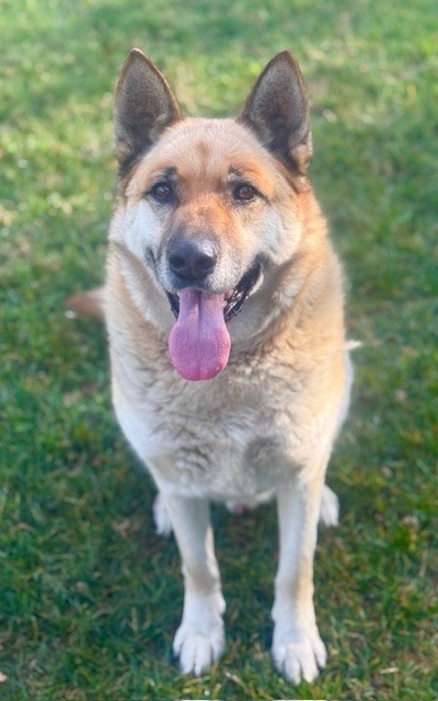 Max