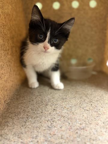 Fiona