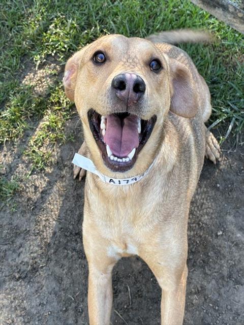 Luna