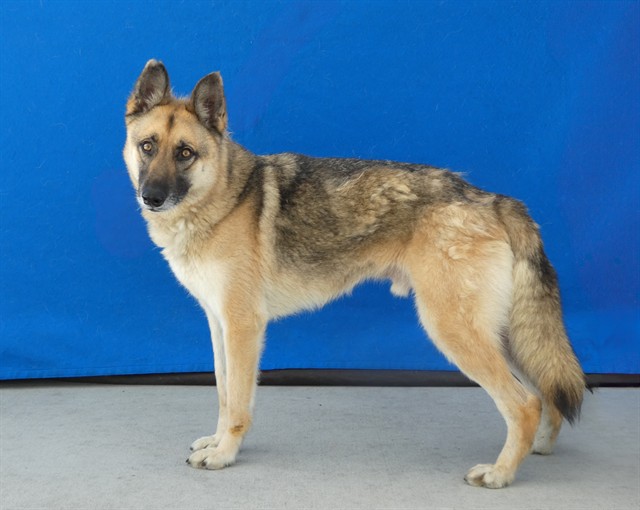 Axel