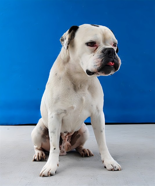 Max