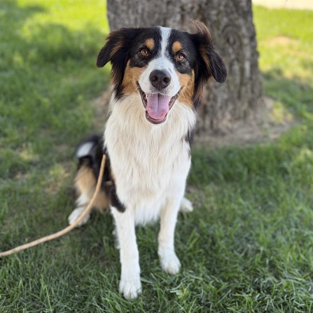 *Max