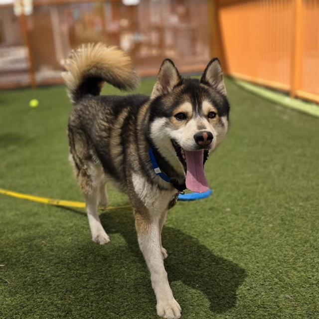 *Ohio