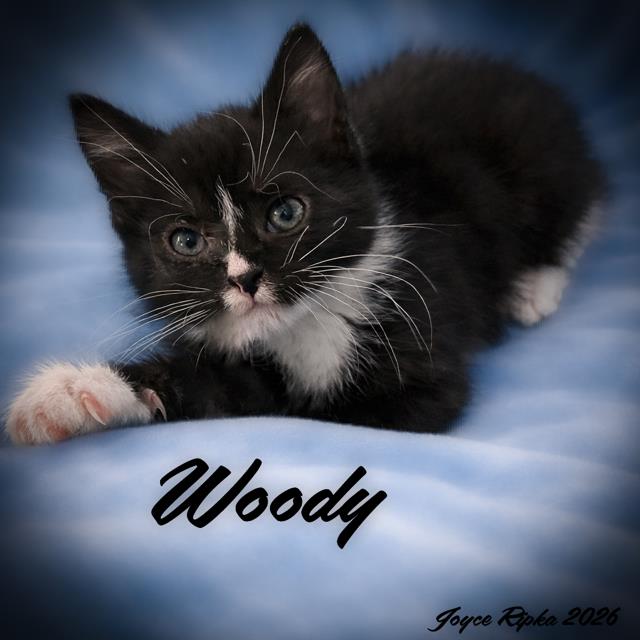 Woody