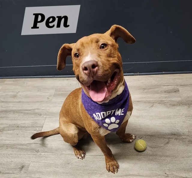 Pen